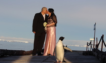 Matrimonio antártico. Foto di Leonardo Proverbio