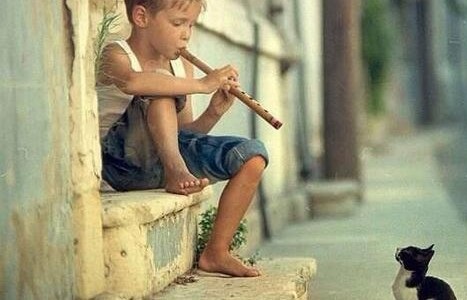 QUÉ ESTÁ OCURRIENDO EN VENEZUELA. Análisis reflexivo del director del Centro Gumilla, prestigioso instituto de estudio y acción social dirigido por los jesuitas