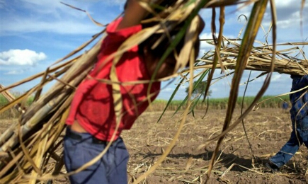 En Bolivia se puede