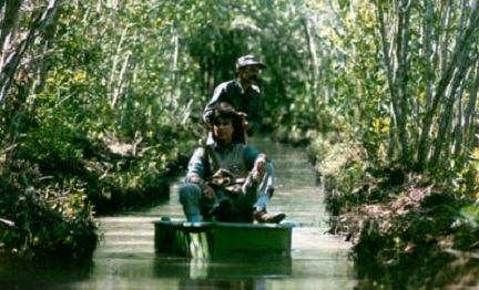 CUBA: LOS MANGLARES PUEDEN SALVARNOS DEL ATAQUE. El enemigo es el mar, que se está comiendo la isla. Los manglares son las barreras de contención que pueden defenderla