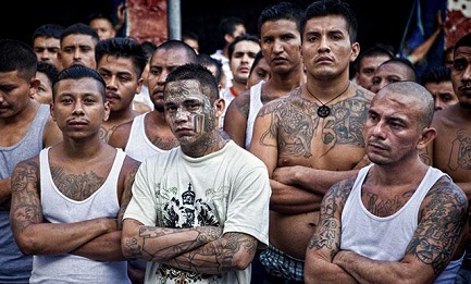 Foto de un grupo con tatuajes