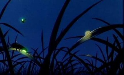 AMAZONIA Y AQUELLOS QUE LA DEFIENDEN. Hummes: “En red se puede hacer más”. Nueve países de América Latina unen esfuerzos