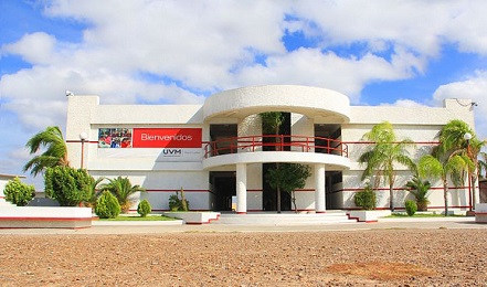 EFECTOS COLATERALES DE LA NARCOGUERRA. En México la violencia de los carteles de la droga amenaza las Universidades. Y algunas cierran sus puertas