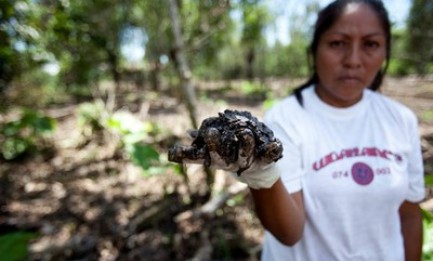LA MASACRE SILENCIOSA. Crece cada vez más la lista de los asesinados por defender el medio ambiente. A la espera de la encíclica del Papa Francisco