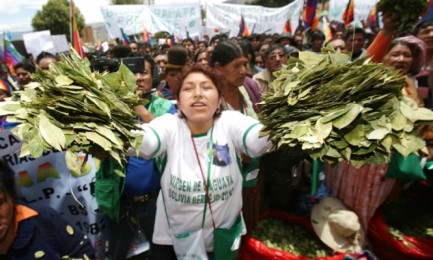 Coca-boliviana-1