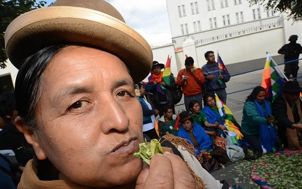 ¿EL PAPA TAMBIÉN MASTICARÁ HOJAS DE COCA? Un ministro boliviano asegura que  ha pedido hacerlo durante su estadía de 4 horas en La Paz