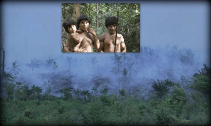 FUEGO EN LA SELVA DE LOS AWÁ. Un incendio amenaza la selva amazónica que habita uno de los últimos pueblos sin contacto con el mundo. Mensaje a la cumbre de París para que actúe con celeridad