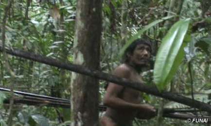 BUENAS NOTICIAS. LOS ÚLTIMOS KAWAHIVA TIENEN  FUTURO. La campaña de Survival International para salvar a la tribu amazónica del genocidio ha dado resultado