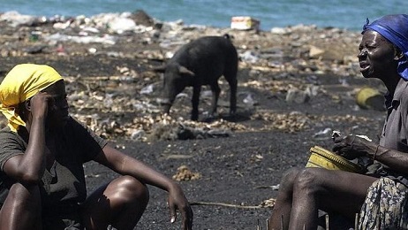 HAITI. EL FRACASO AGRÍCOLA DE UN PAÍS AGRÍCOLA. El país más pobre del continente americano cubre solo el 30 por ciento de sus necesidades alimentarias