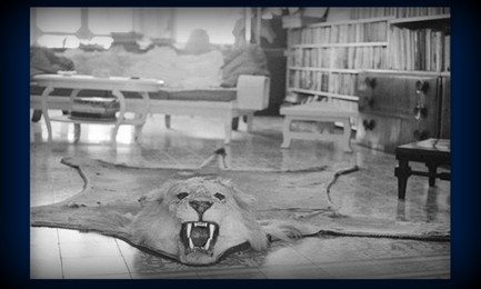 Una foto de mayo de 1965 en blanco y negro que se hizo famosa, muestra el cuero de uno de los leones que cazó Hemingway