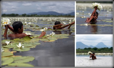 Chicos trabajando en la laguna de Axochiapan en Mexico. Foto Margarito Pérez