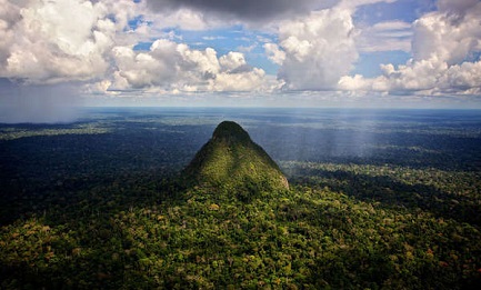 La región “liberada” de la Sierra del Divisor, una zona única de enorme biodiversidad, conocida por sus montañas de forma cónica  (Foto Diego Pérez)