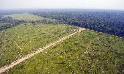 Vista aérea da floresta nacional de Jamanxim, no estado do Pará (Antônio Scorza/AFP)