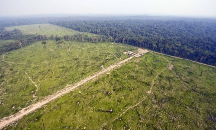 AMAZONIA, ¿QUIÉN TE DEFIENDE? Un nuevo proyecto de ley del gobierno de Temer reduce la selva y puede favorecer el desmonte y la explotación minera, denuncian los ambientalistas