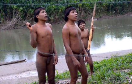 Indios Sapanawa: denunciaron que su comunidad había sido atacada y murieron tantas personas que no pudieron enterrarlas a todas (© FUNAI/Survival)