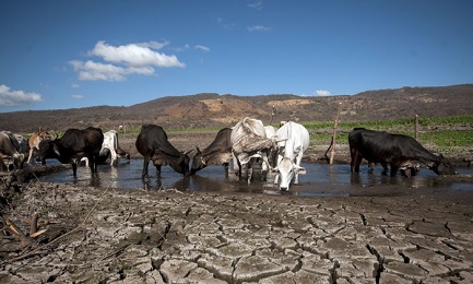 Cambio de estrategia: la tierra gana un aliado