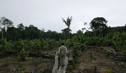 Demetrio Pacheco, ambientalista peruano que recibió reiteradas amenazas por defender su territorio de la tala ilegal de bosques (Foto Jack Lo vía Mongabay Latam)