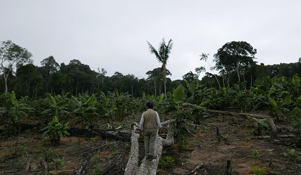 DEFENDER EL AMBIENTE CUESTA CARO.  Y América Latina se consolida como la región que paga el precio más alto: 116 activistas asesinados en 2017