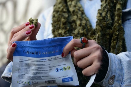 EN EL URUGUAY DE LA MARIHUANA LIBRE, EL NARCOTRÁFICO ES MÁS FUERTE QUE NUNCA. Aumentaron los enfrentamientos entre bandas por el control del territorio y se extendieron a todo el país