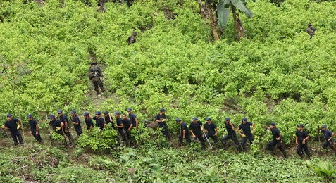 La frontera de la coca