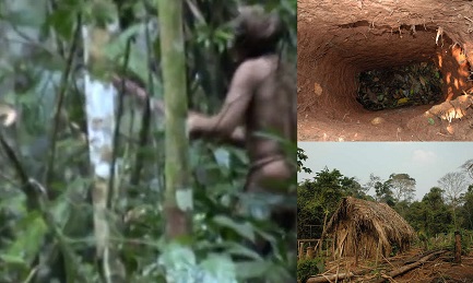 La choza y la huerta donde “El último de su tribu” cultiva mandioca y otras verduras. Un hoyo excavado como trampa para cazar animales o para esconderse