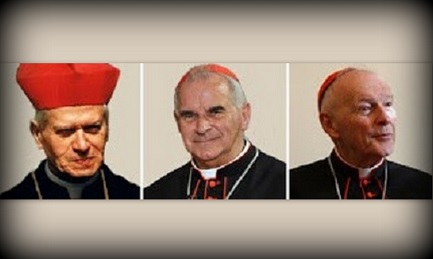 CARDENALES POR DEBAJO DE TODA SOSPECHA. ¿Se puede repetir un segundo “caso O’Brien? El estadounidense McCarrick podría perder derechos y prerrogativas. Tres acusaciones de delitos sexuales.
