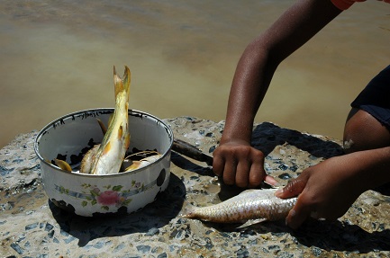 El retorno del hambre en Brasil (Foto João Zinclar)