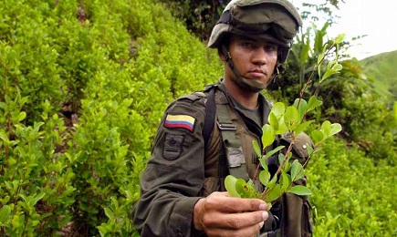 La coca es el tercer producto más exportado del país (Foto DPA-J. Motte via DW)